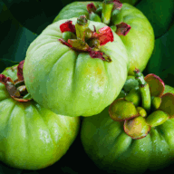 All Day Slimming Tea Garcinia cambogia ingredient