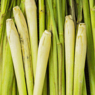 All Day Slimming Tea lemongrass ingredient
